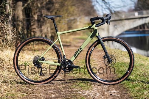 Rose Backroad AL avis et fiche technique